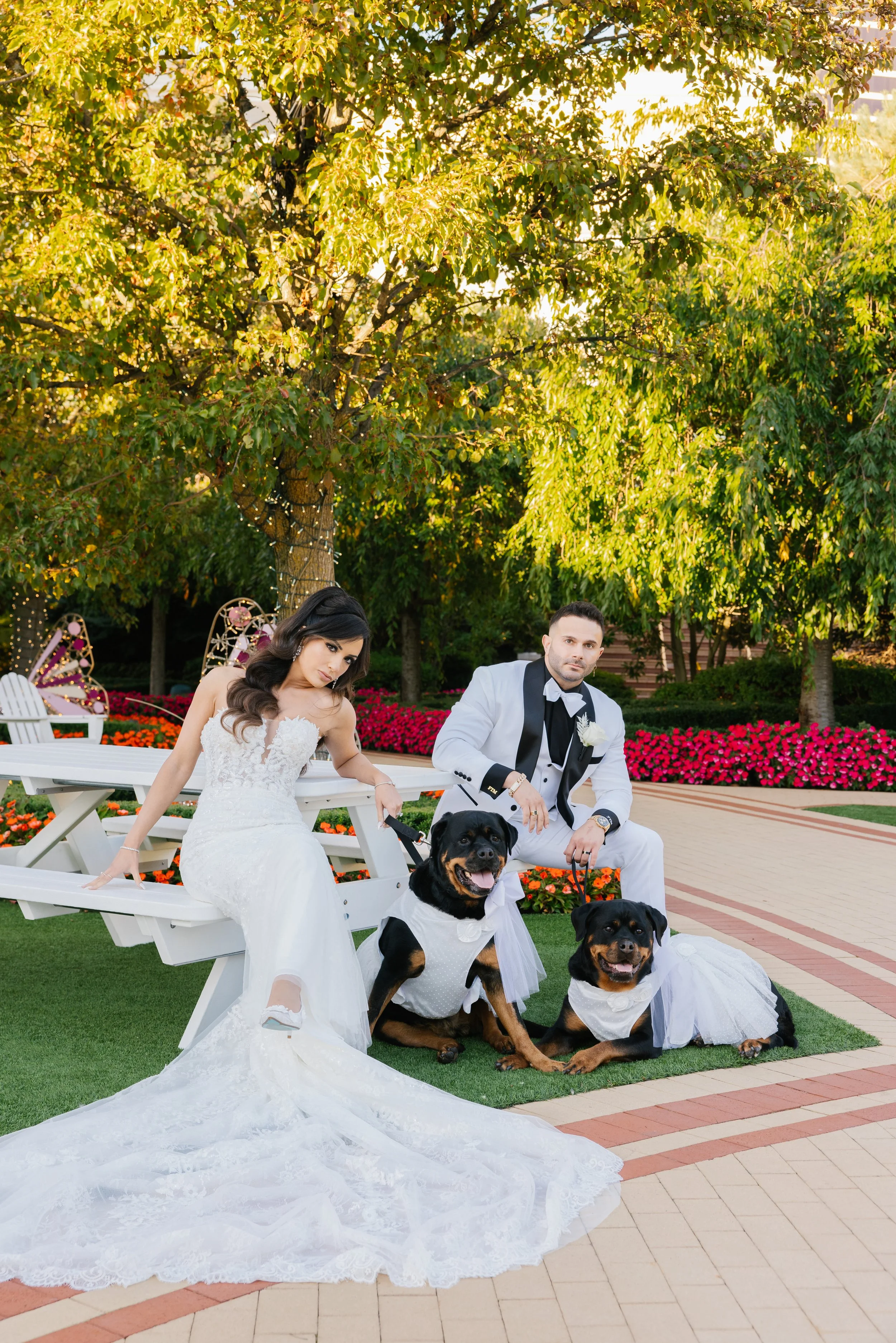 Where Elegance Turned Electric at Encore Boston