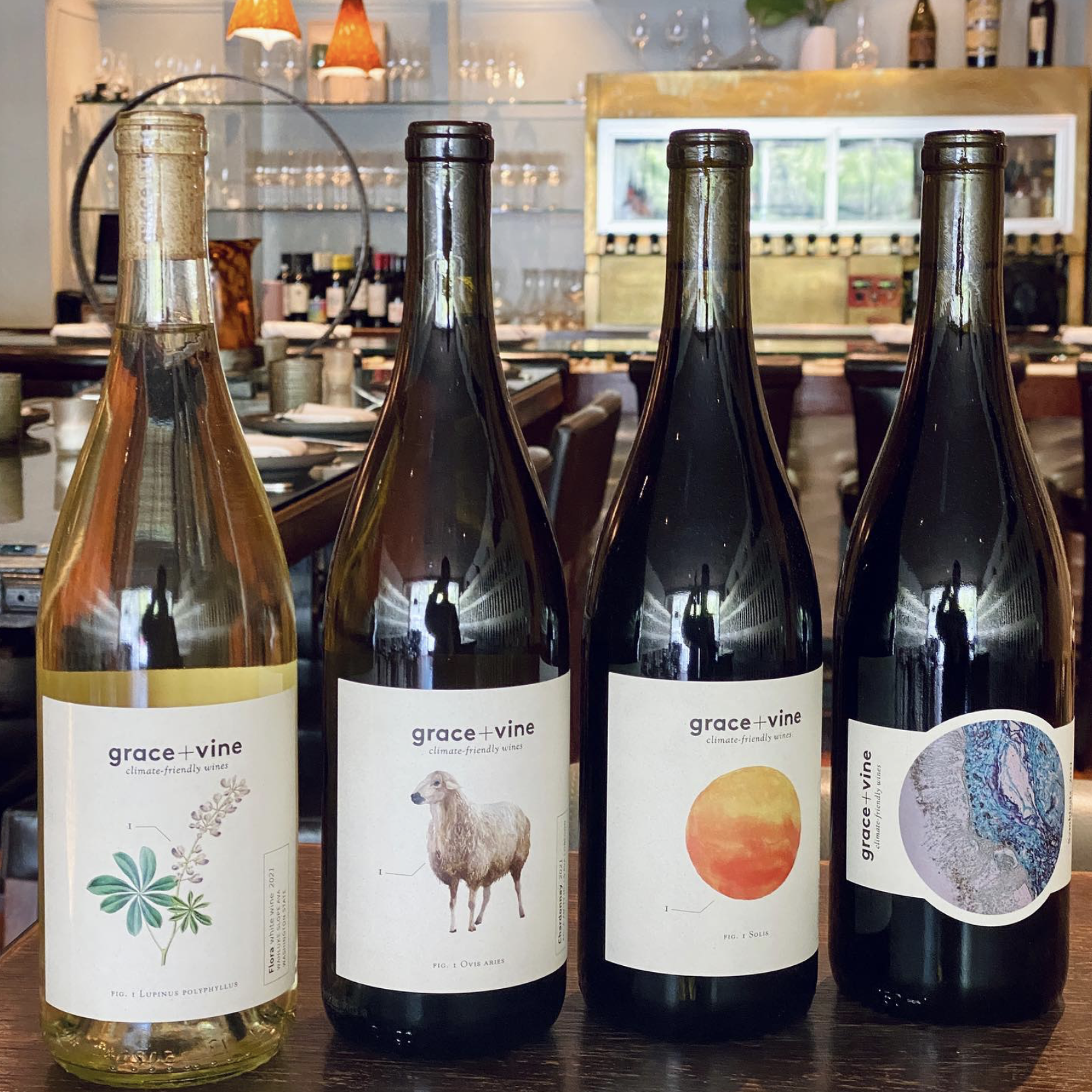 Screenshot 2024-08-10 at 9.05.30 PM.png