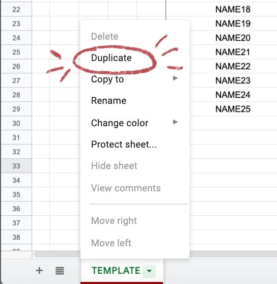 Go to “TEMPLATE” tab at the bottom, right click, click on “Duplicate”