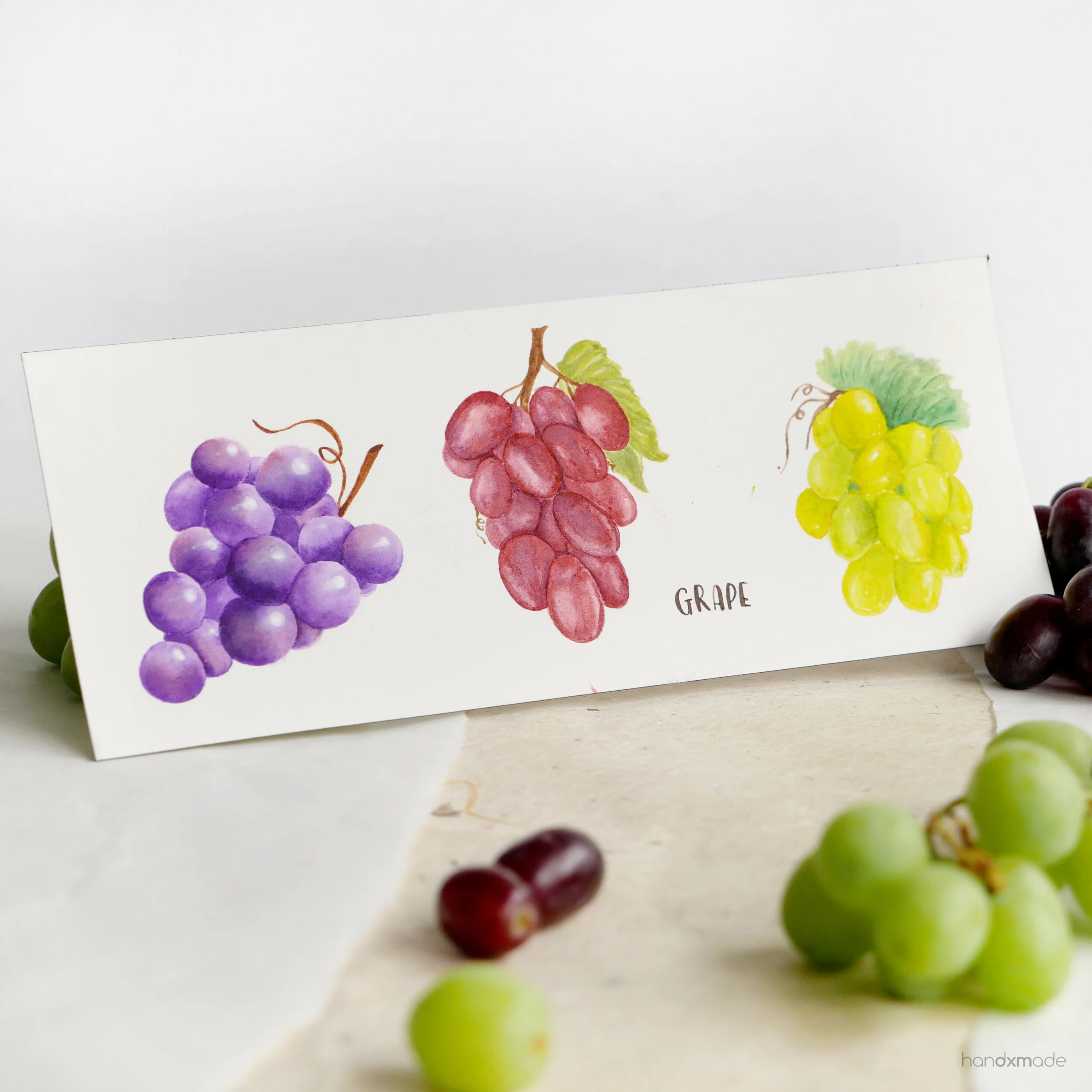 GRAPES INK PRINTS