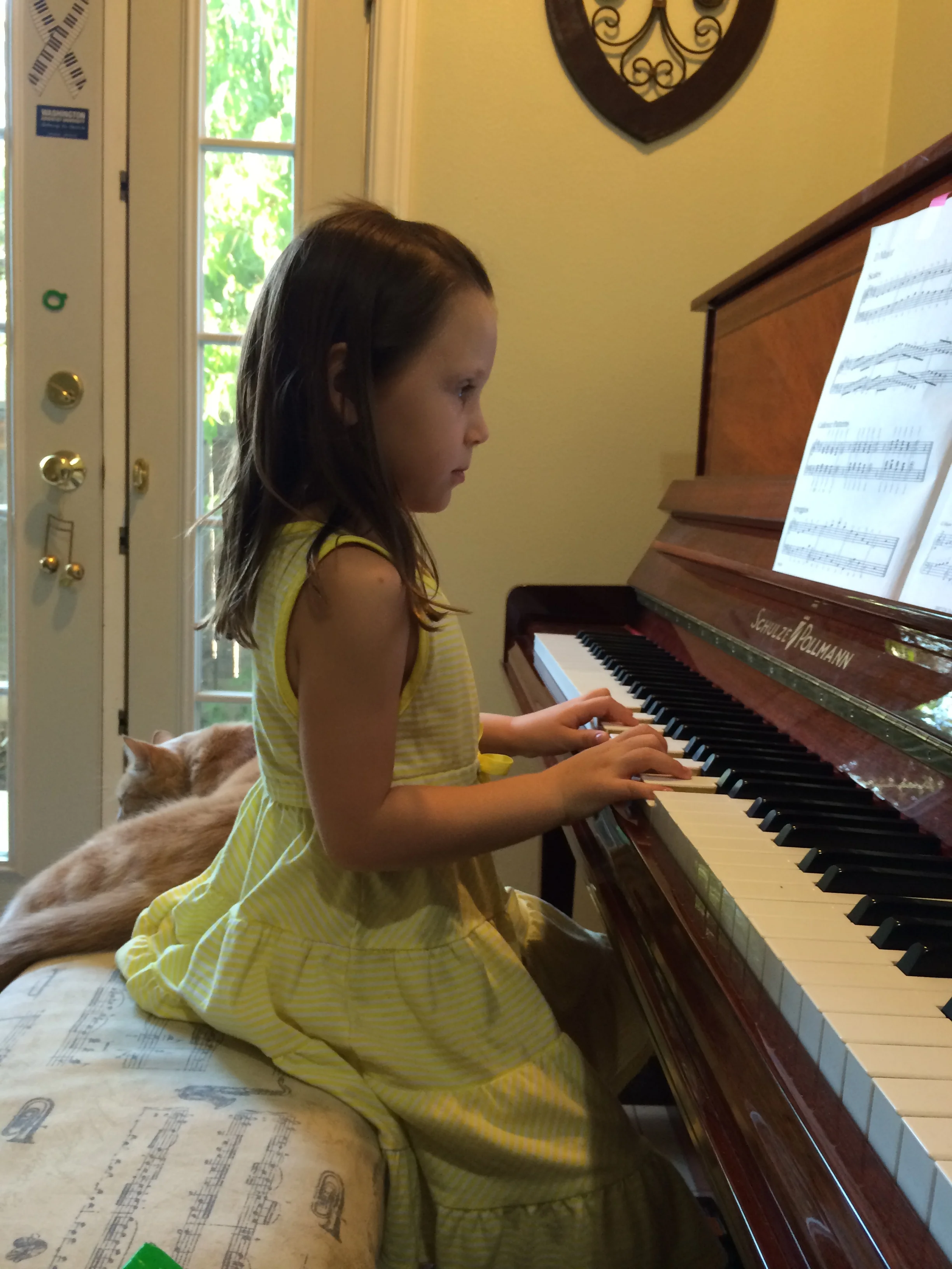 2014-09-12 17.56.18.jpg