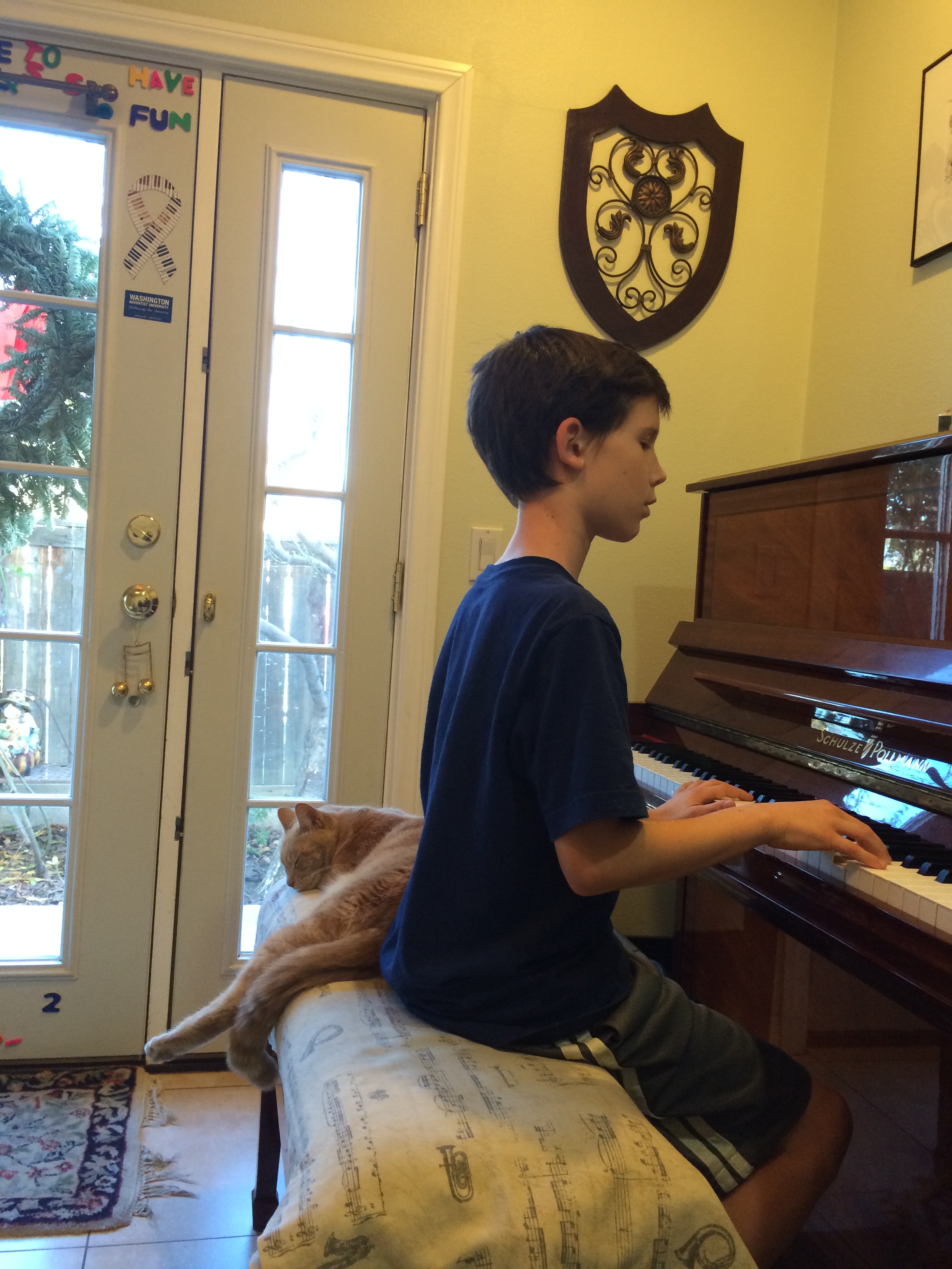 2015-01-07 12.17.54.jpg