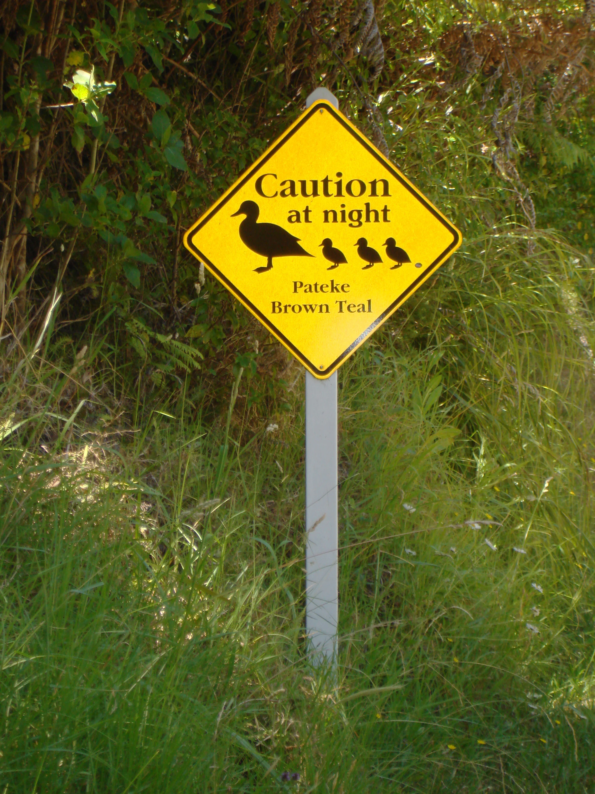 Sign on Cape Barrier Rd