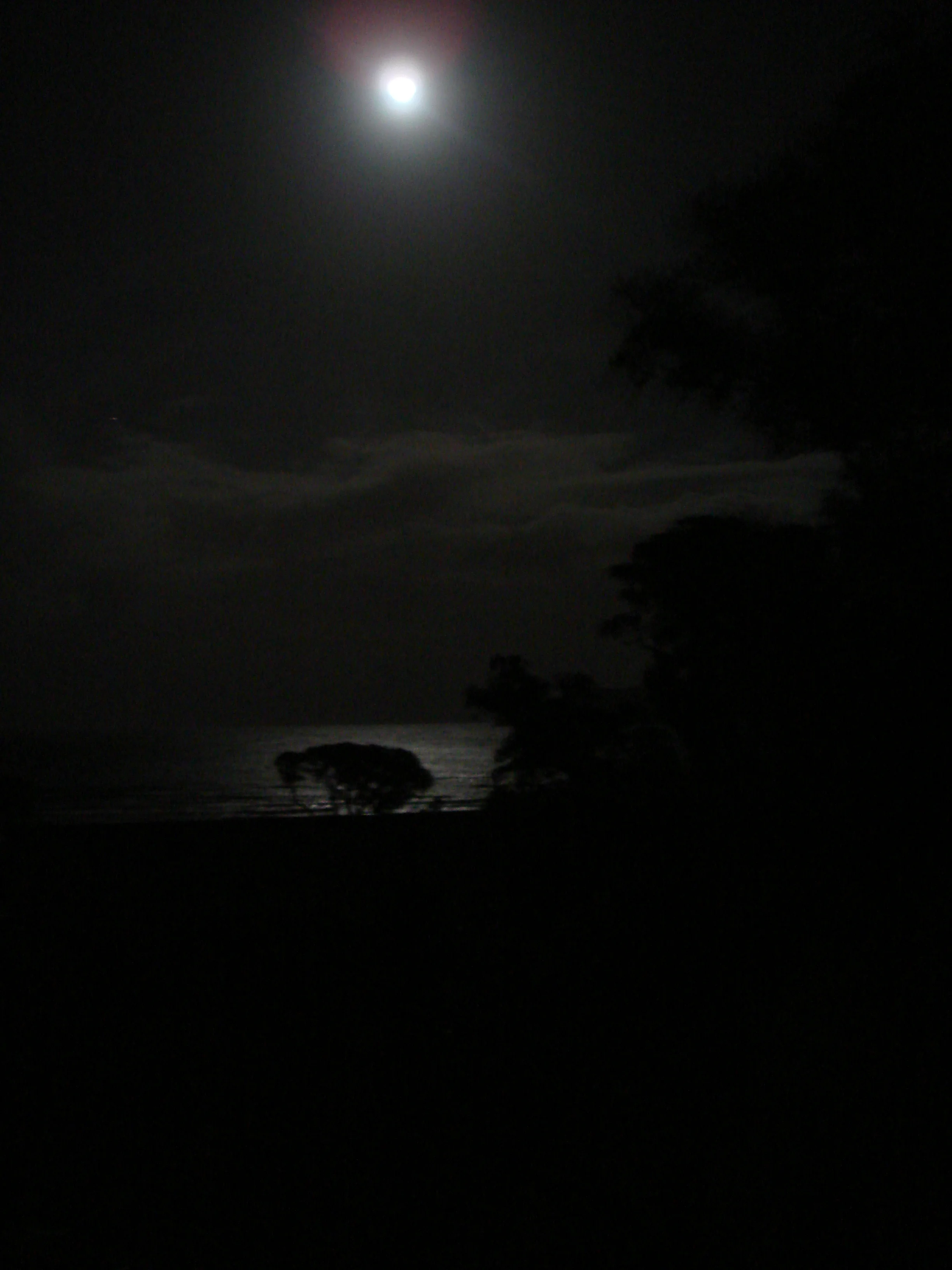 Midnight at the Lodge.