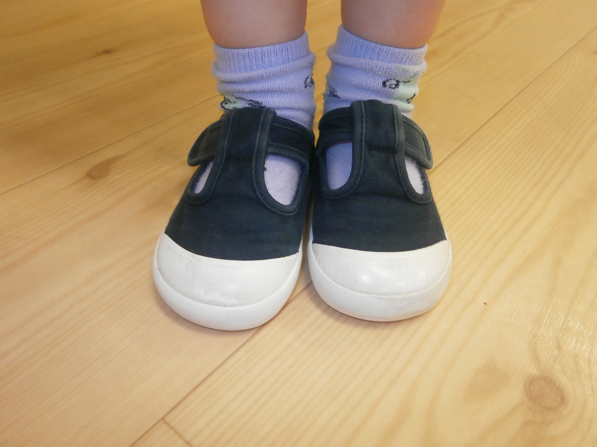 We took a photo of Rupert's indoor shoes for our new Morning Jobs poster