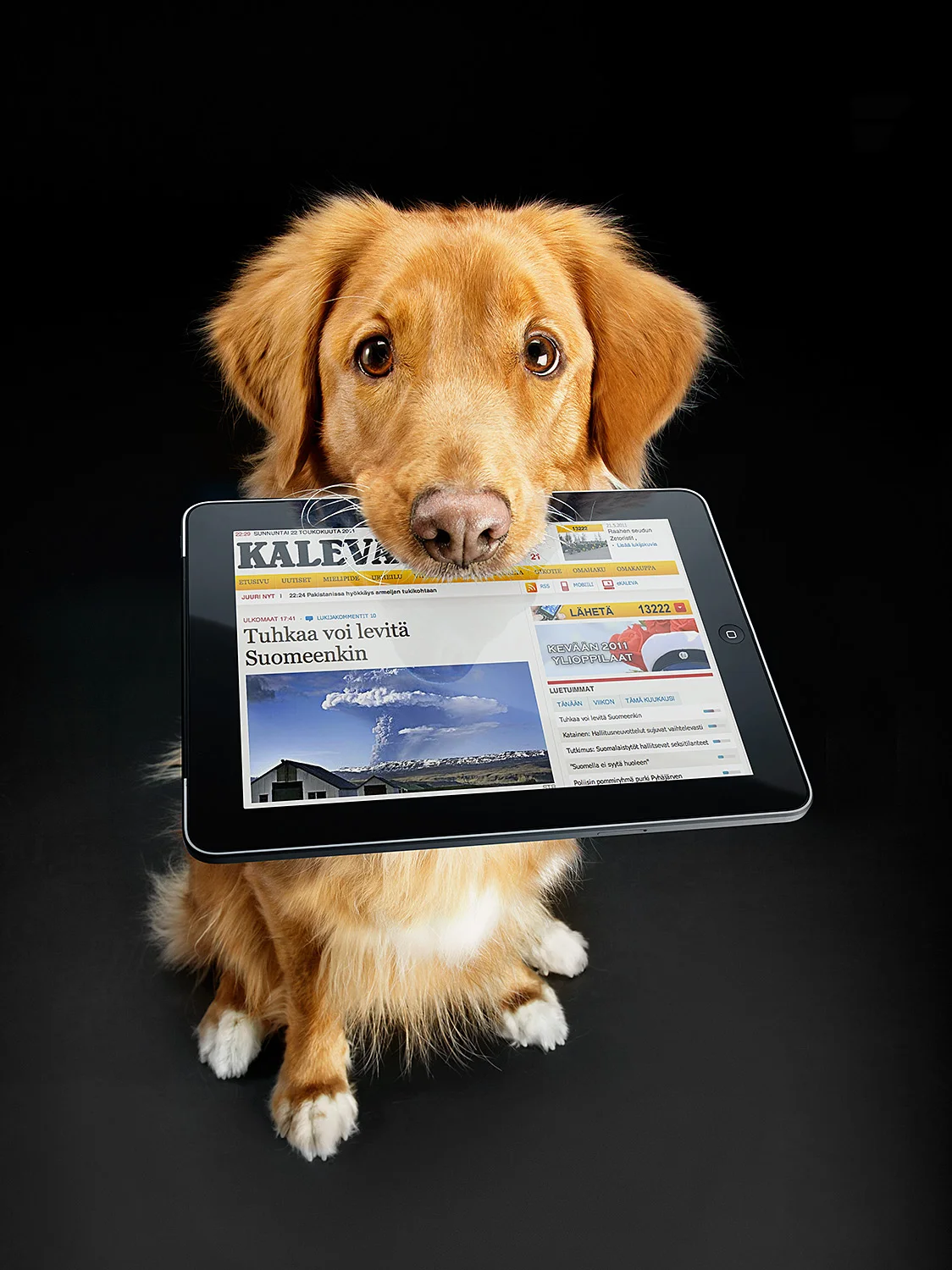 01_kaleva_ipadkoira.jpg