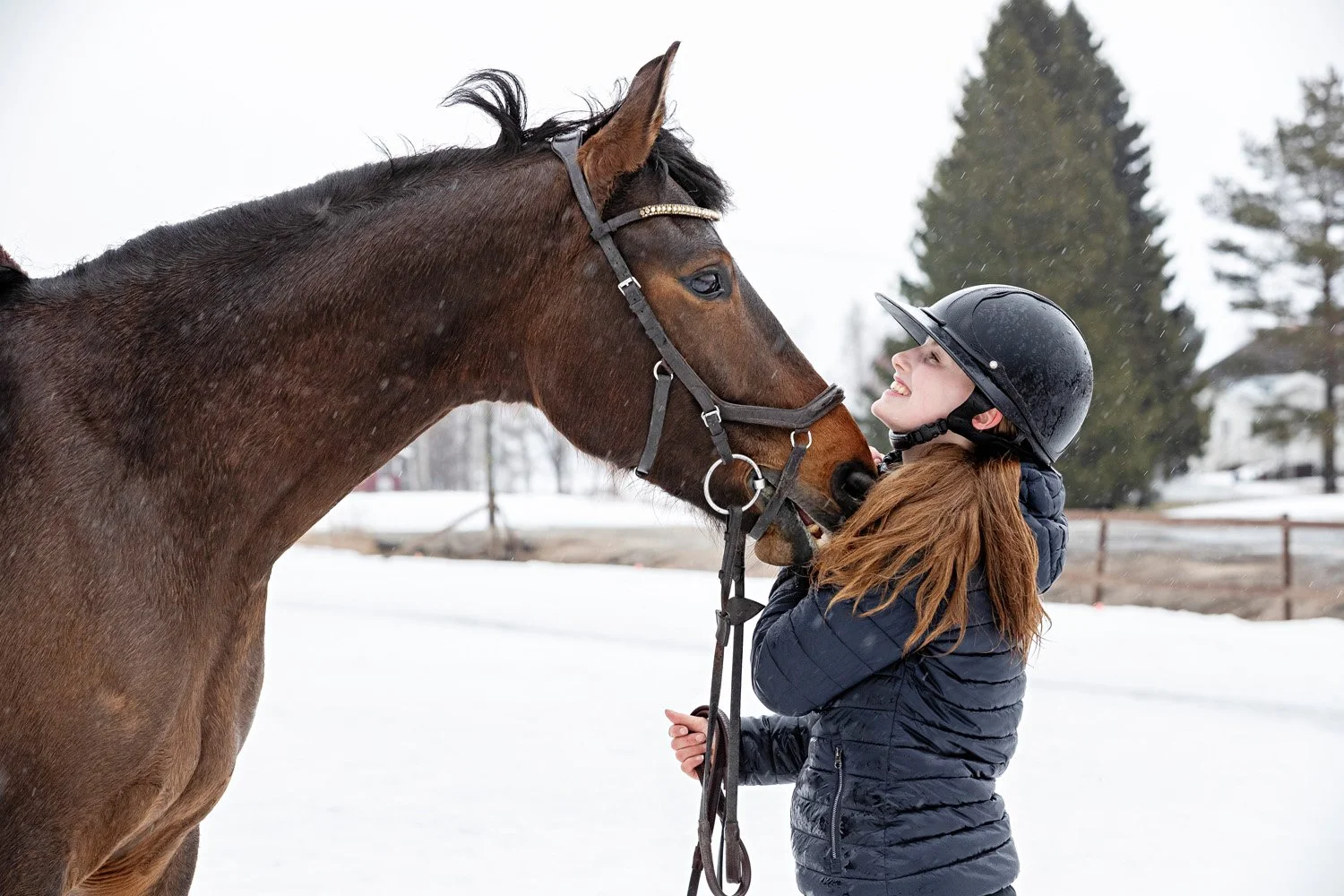 Alisa ja Harribat hevonen 