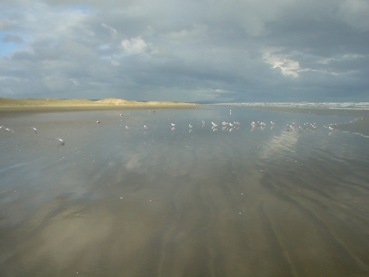 best one of 90 mile beach.jpeg