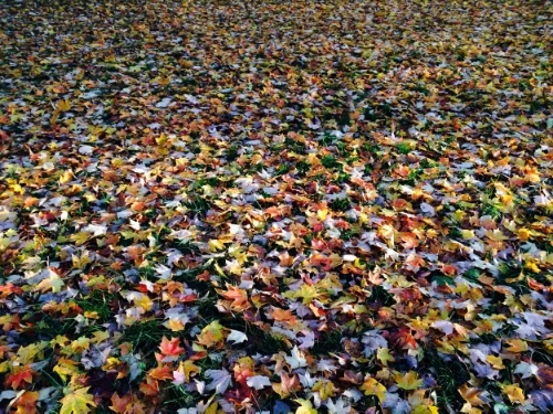 Sunday School teacher testimony