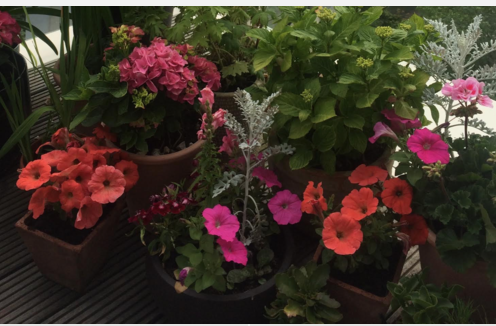 I realize nature does not stress to grow!