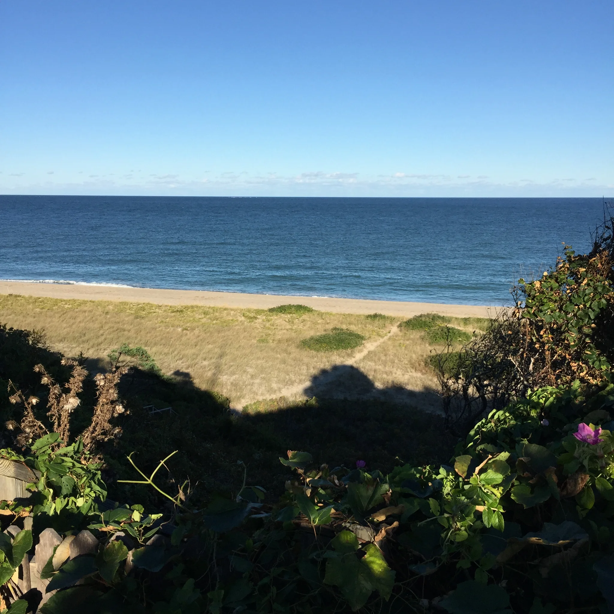 Photo location: Nantucket, USA