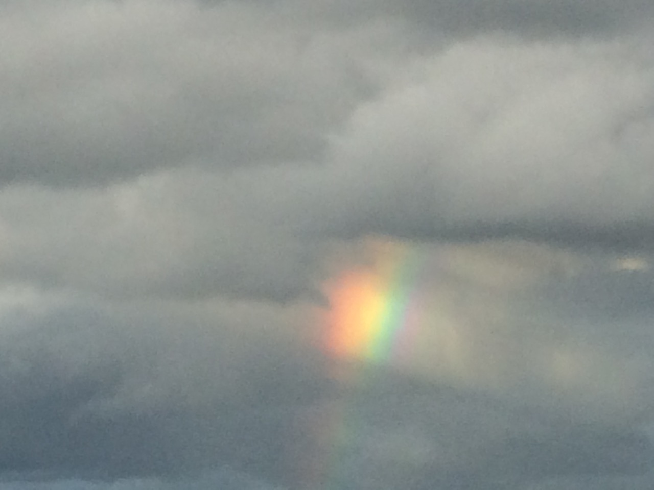 Bow of promise in the cloud.jpeg