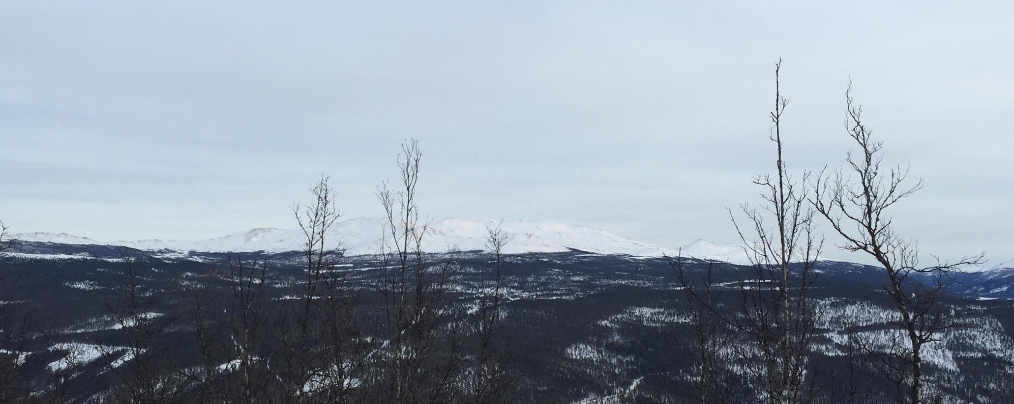 Ruten (1516 moh.) sett fra hytta