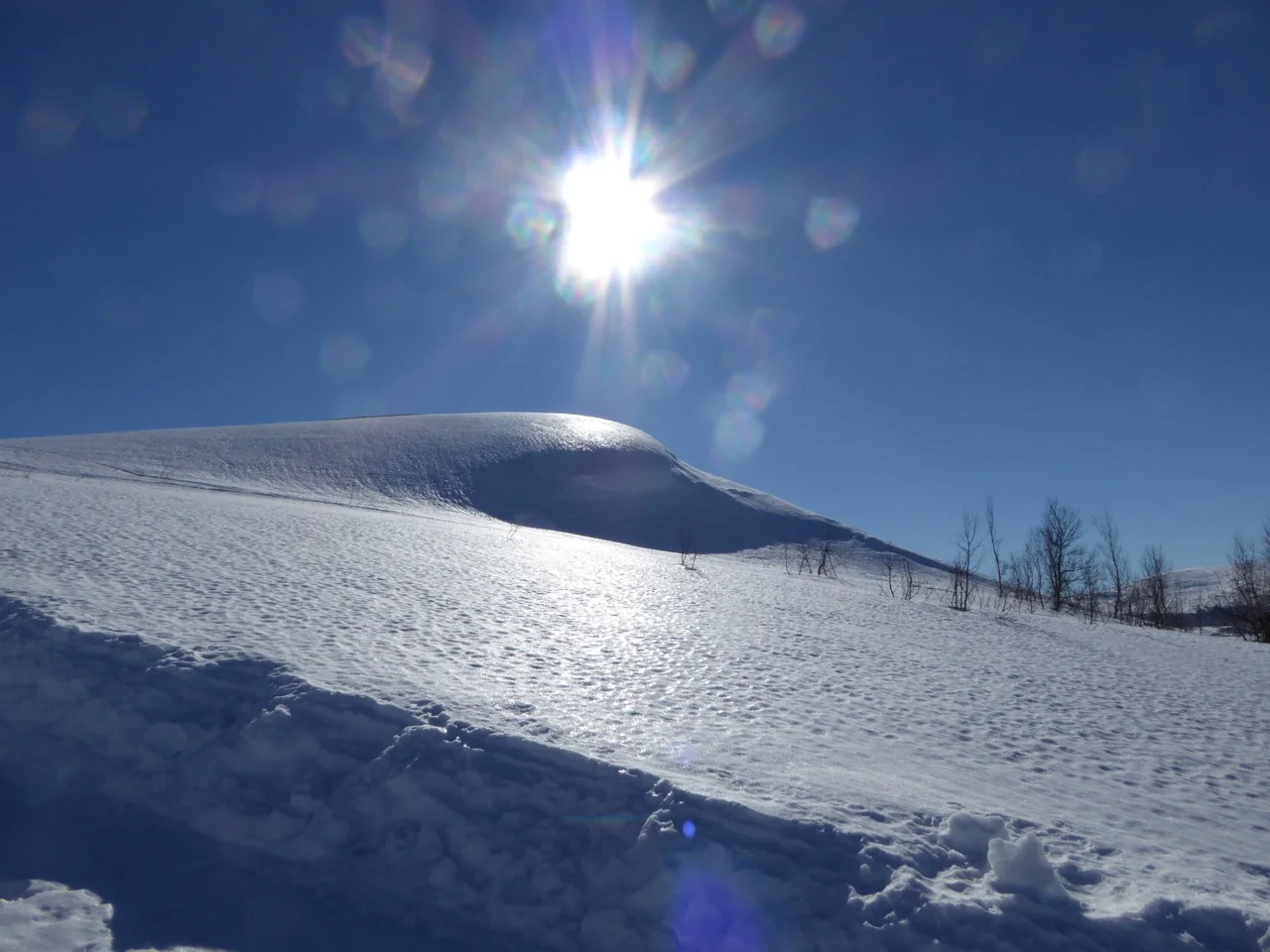 Vårskitur, sol i mars, på vei opp mot Bingsbu