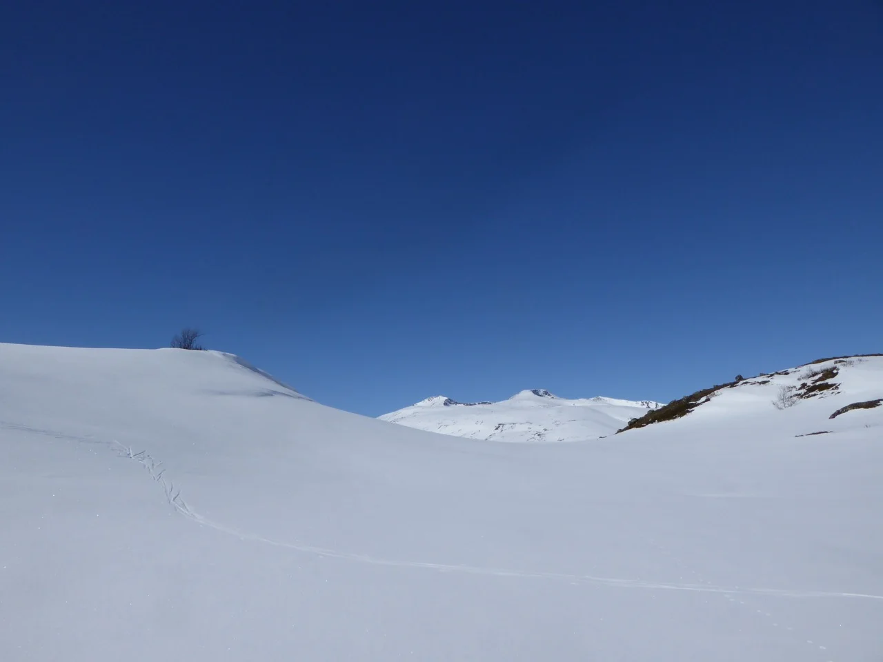 P1020117.jpg