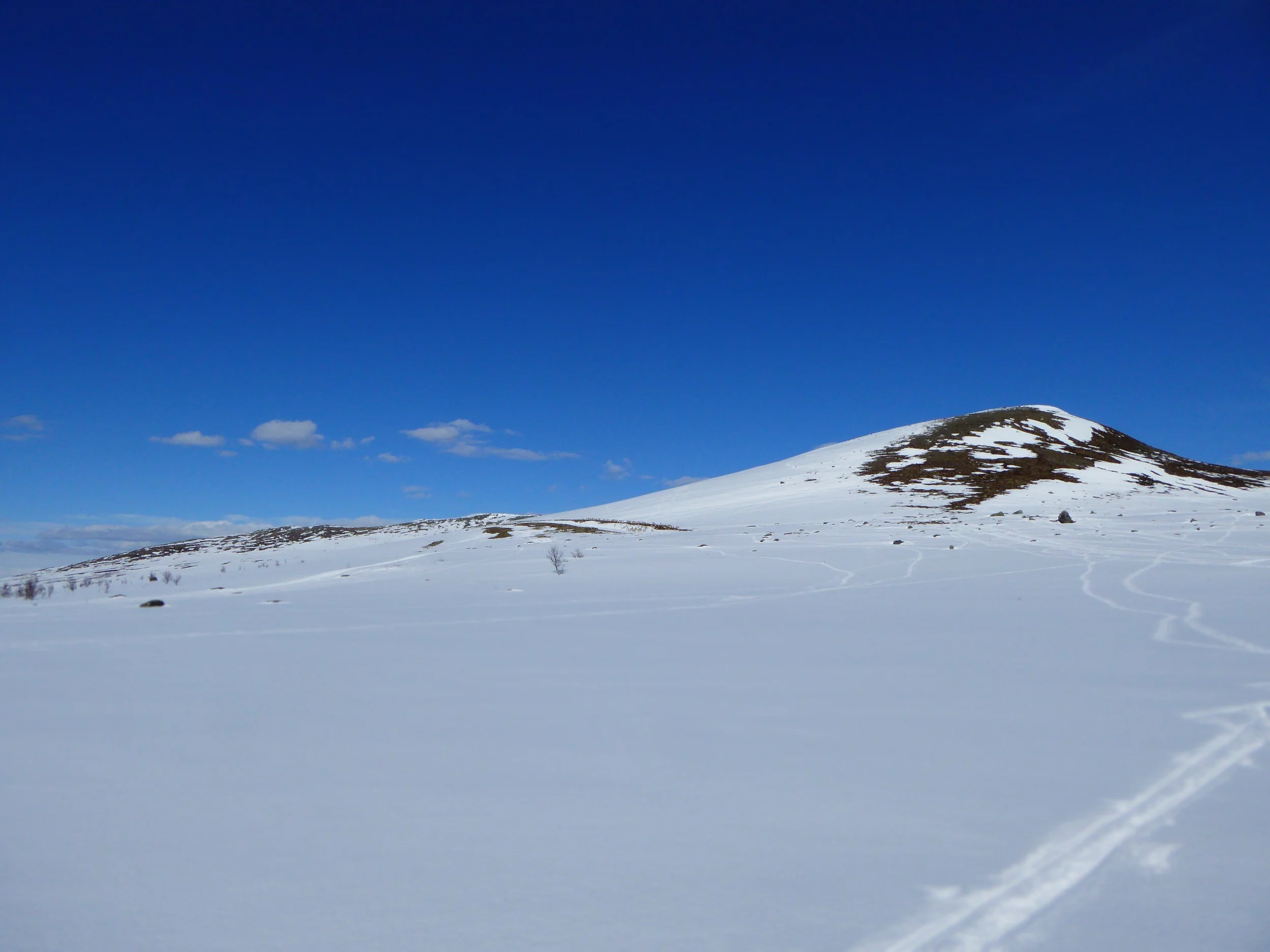 P1020320.jpg