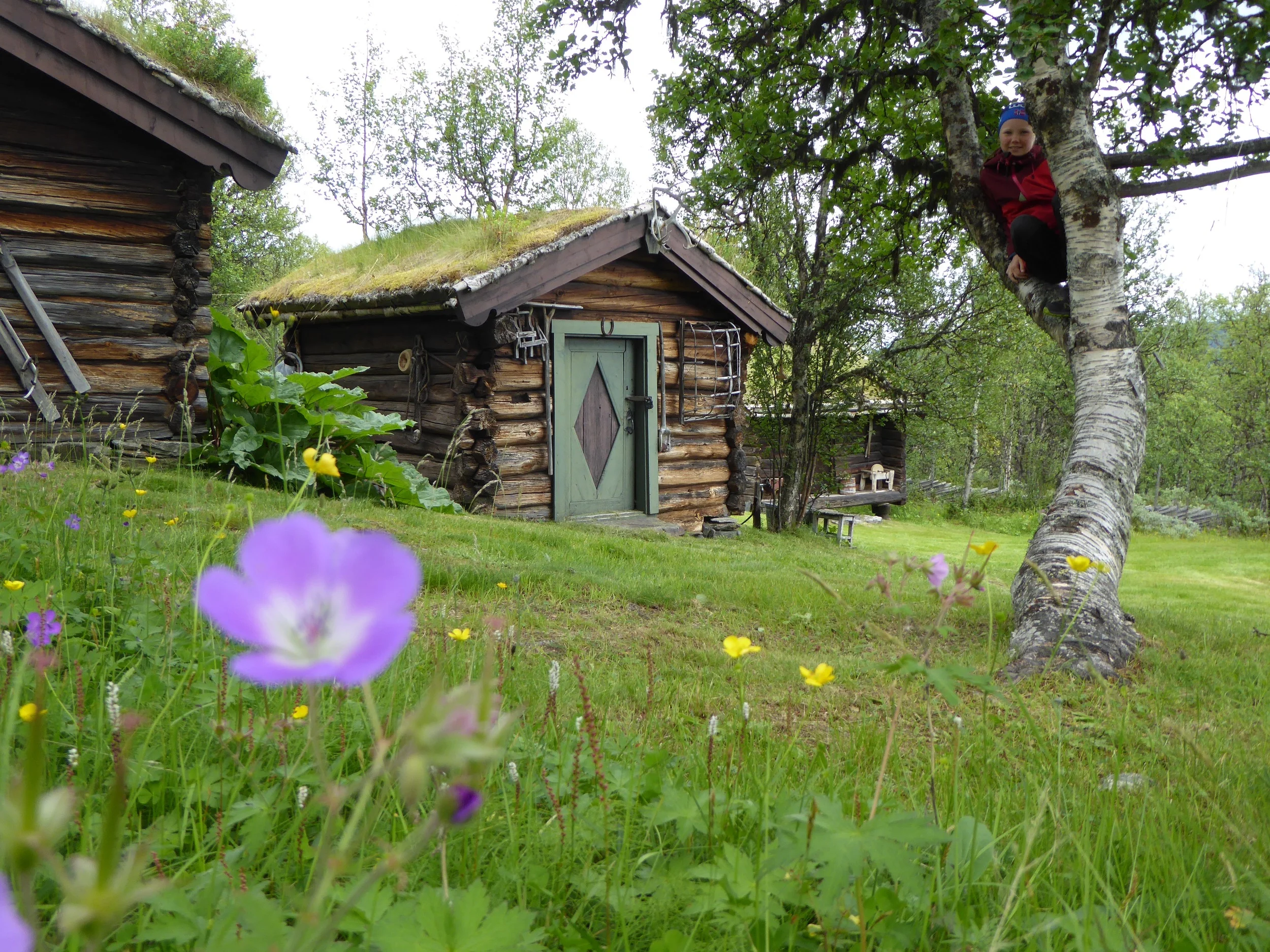 P1030784.jpg