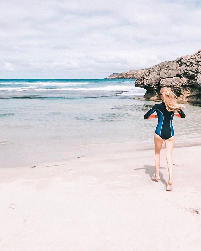 Beautiful Pennington Beach on Kangaroo Island. Icy cold water for most of the year but always worth a swim. Thank you to everyone who placed a bid on my wildlife artworks and a big thank you to my wonderful colleagues at @destinationthink for making 