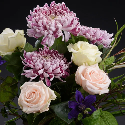 Test_500 (1 of 1).jpg