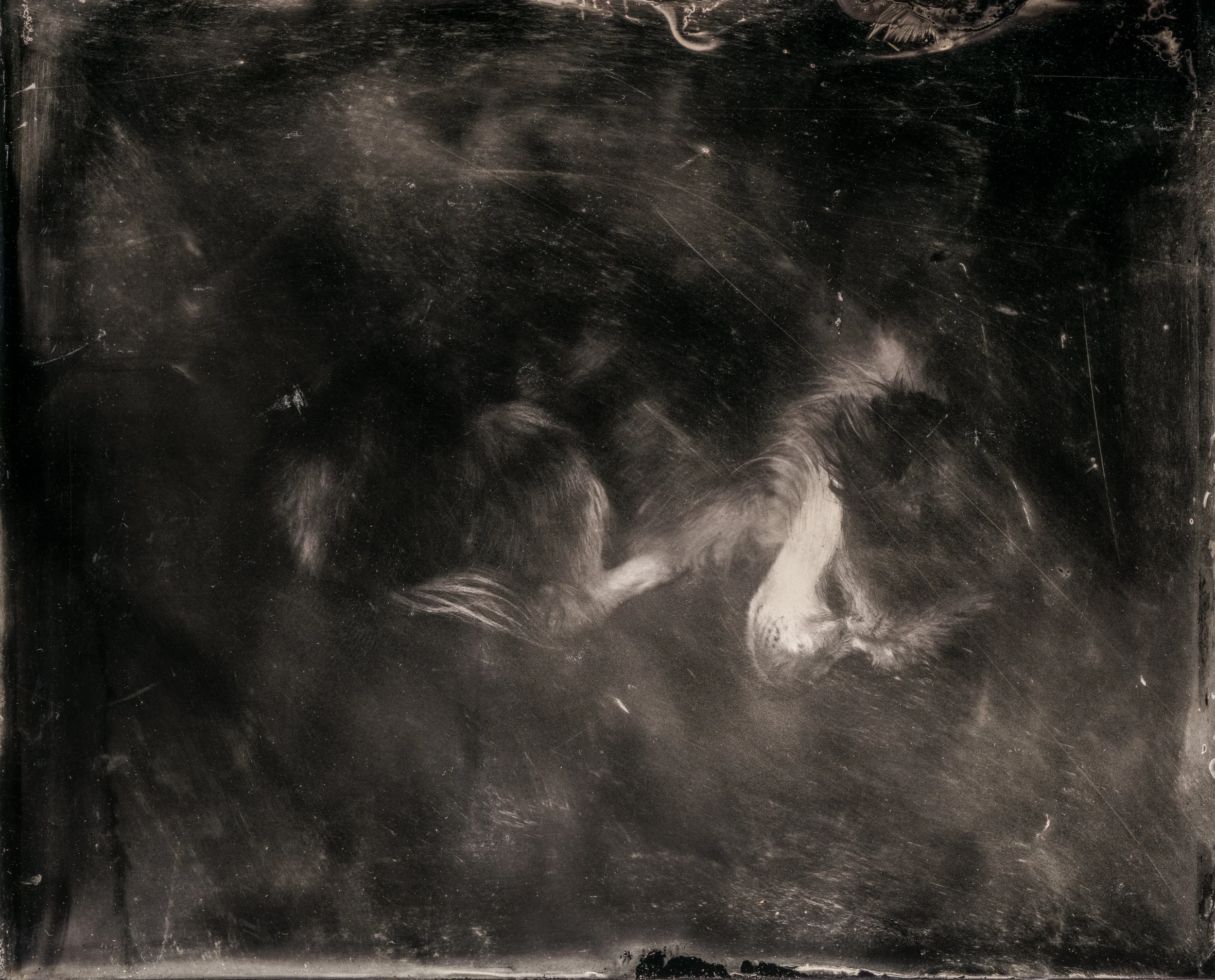 Joy's-Tintype001.jpg
