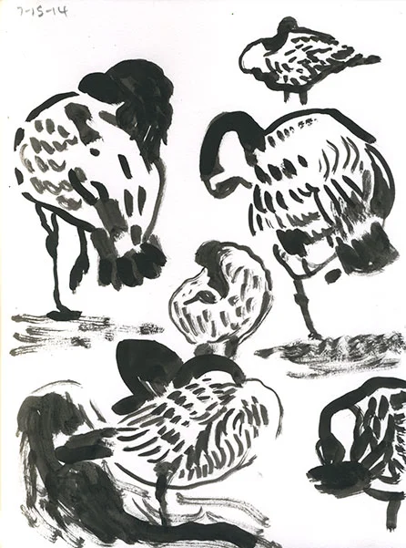 07-15-14-geese01.jpg