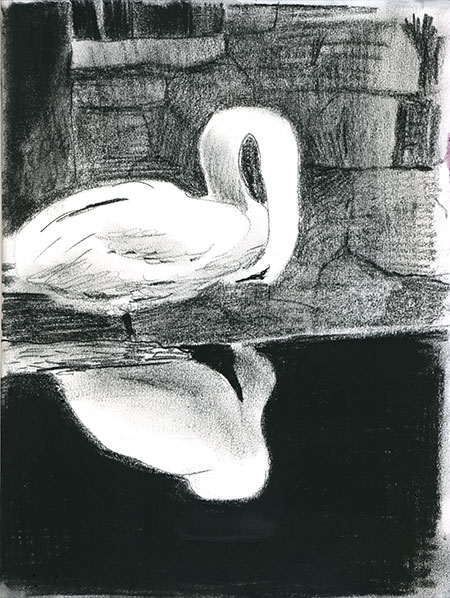 09-25-15-swan.jpg
