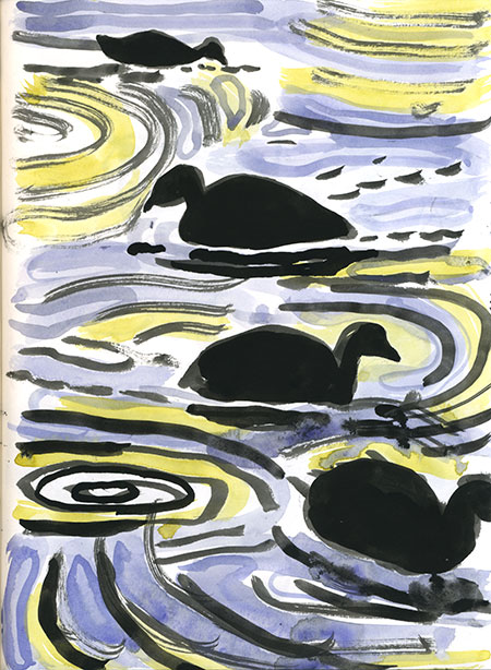12-13-14-coots2.jpg