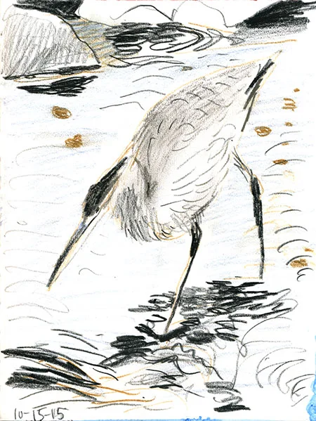 10-15-15-heron01.jpg