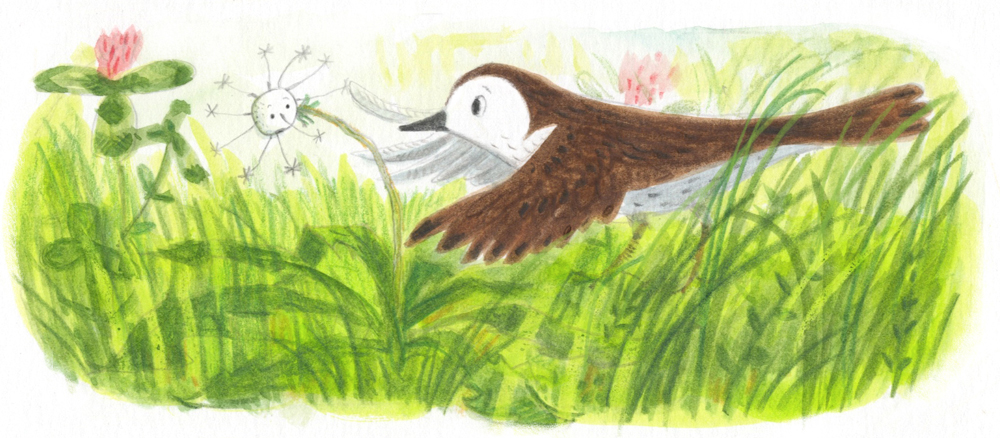 dandelion_07.jpg