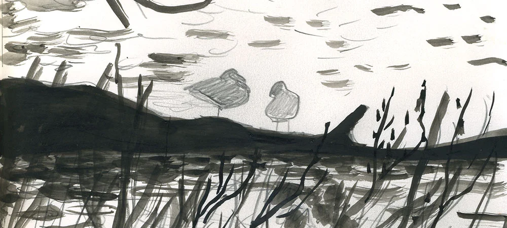 05-04-14-ducks-cropped.jpg
