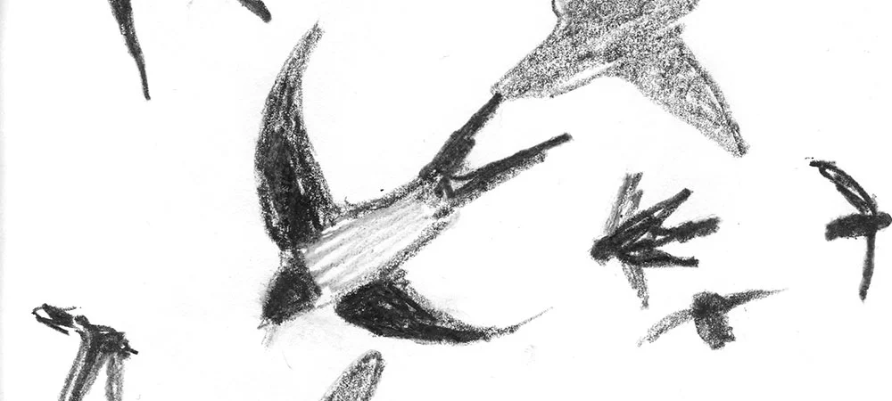 05-28-14-swallows-cropped.jpg