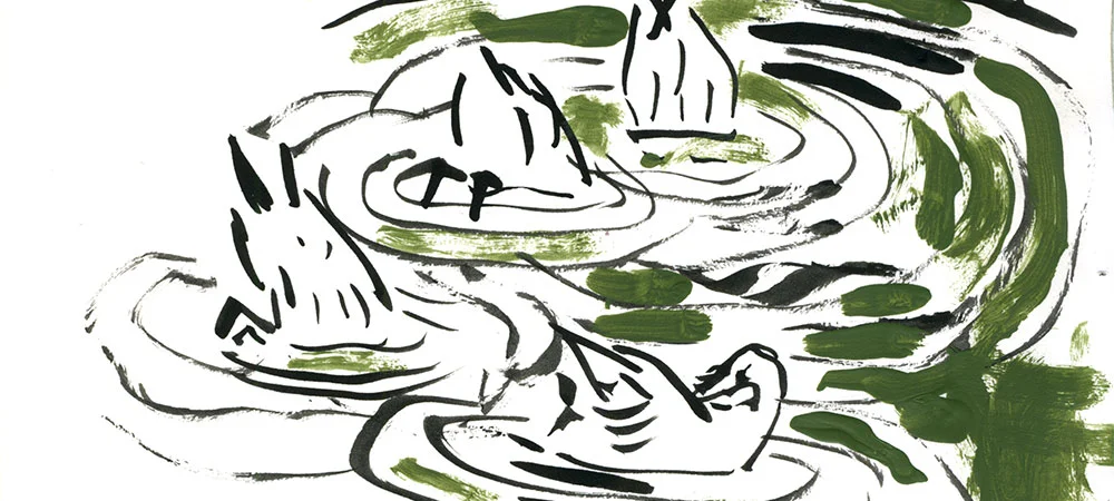 09-20-14-ducks-cropped.jpg
