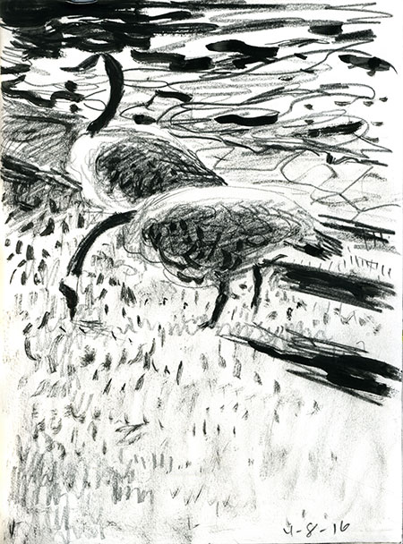 04-08-16-geese.jpg