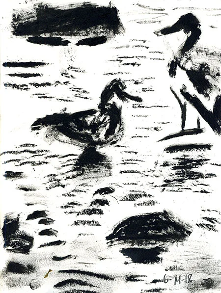 06-14-18-ducks.jpg