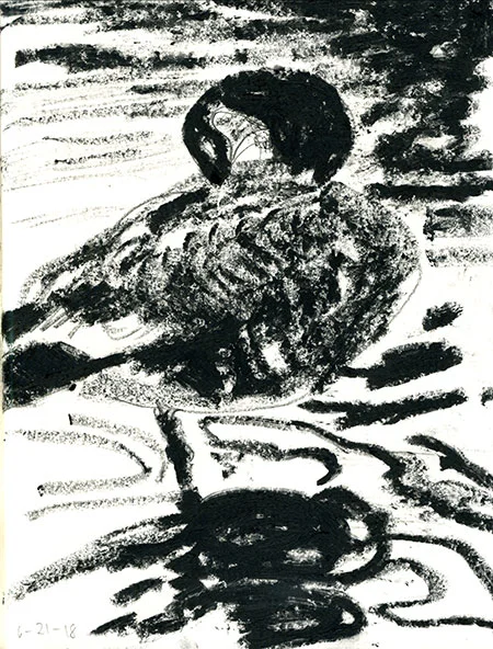 06-21-18-goose.jpg