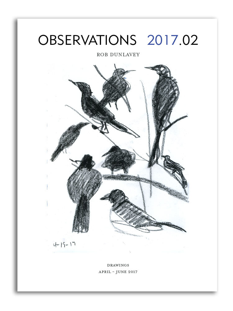 OBSERVATIONS 2017.02