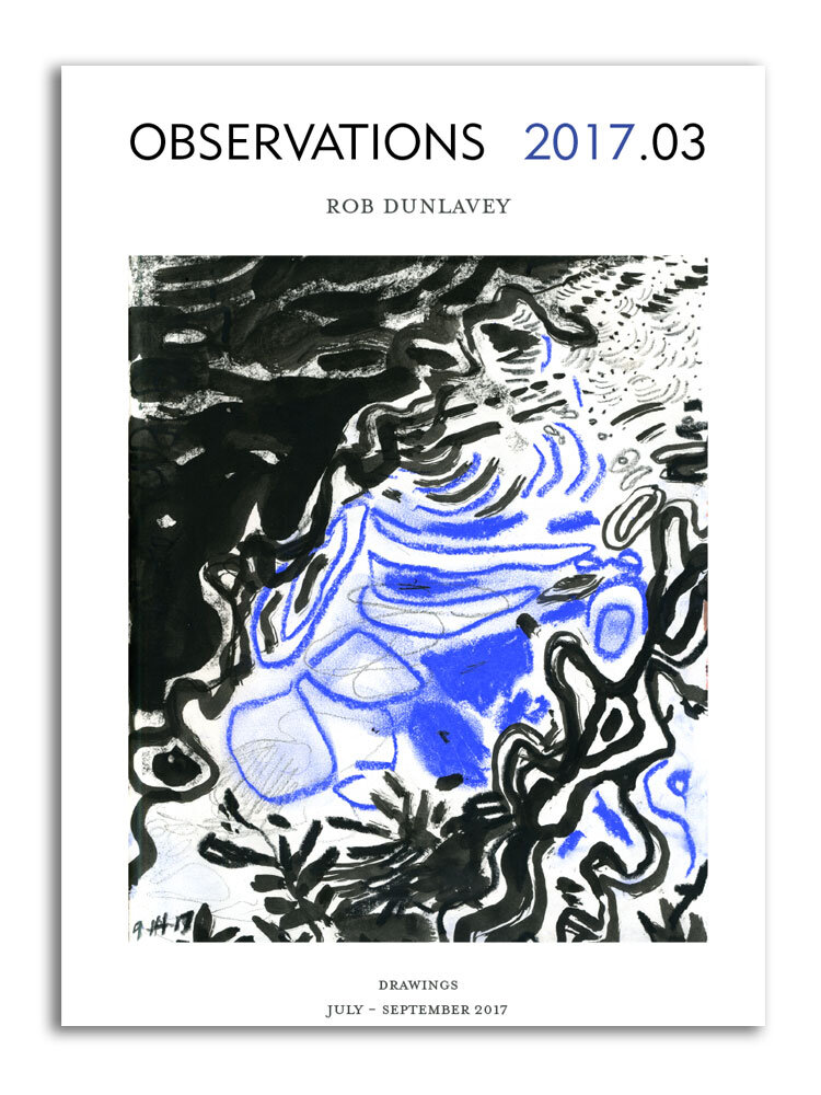 OBSERVATIONS 2017.03