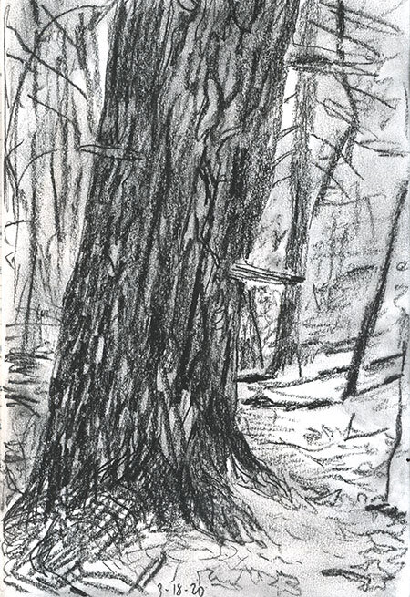Lonely Tree 1 Charocal Pencil Drawing by Gordana Rakusa | Saatchi Art