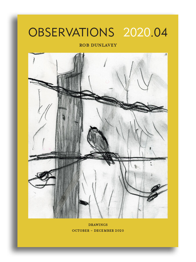 OBSERVATIONS 2020.04