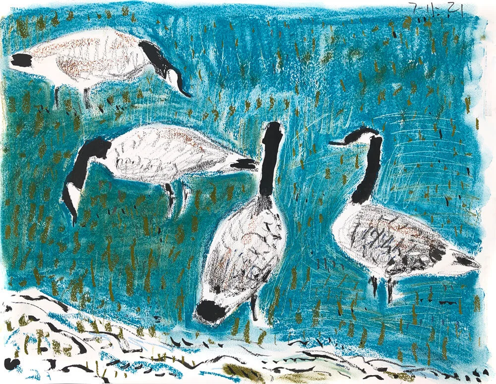 07-11-21-geese01