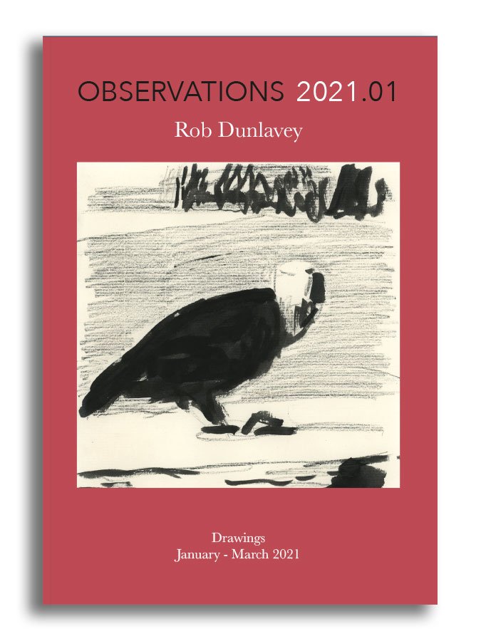 OBSERVATIONS 2021.01