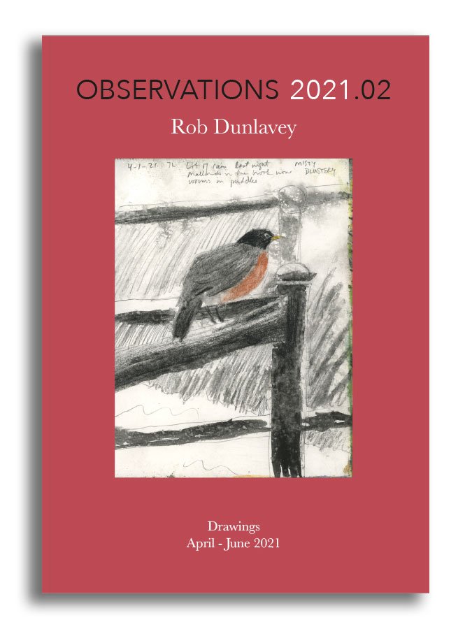 OBSERVATIONS 2021.02