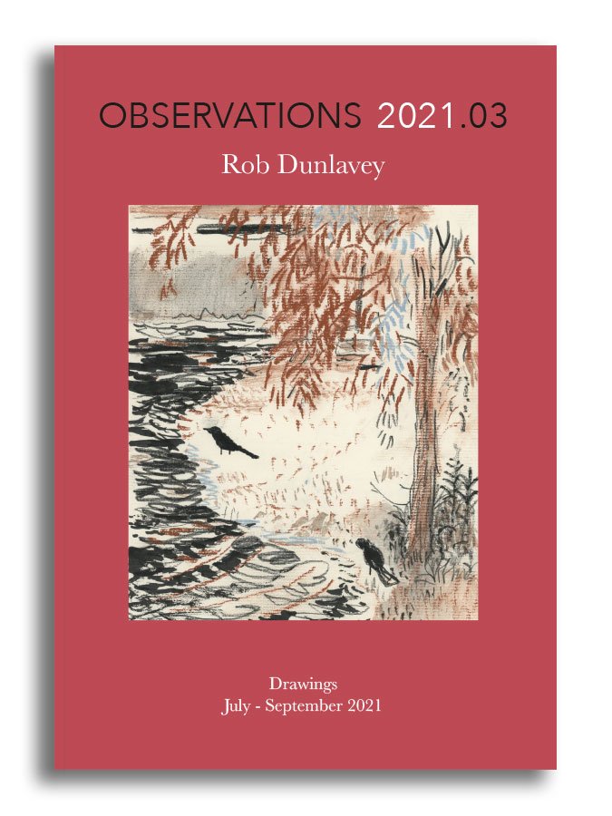 OBSERVATION 2021.03