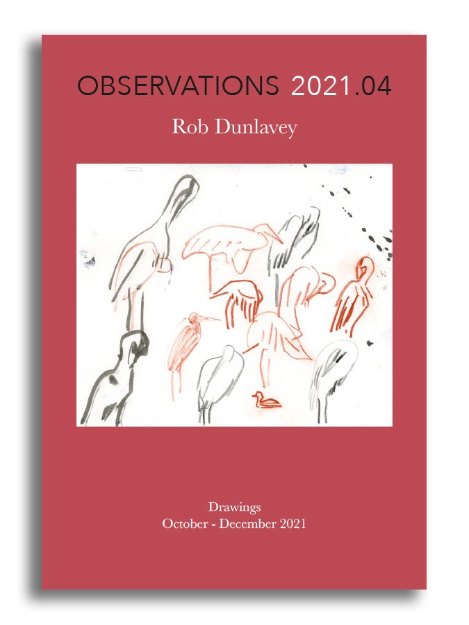 OBSERVATIONS 2021.04