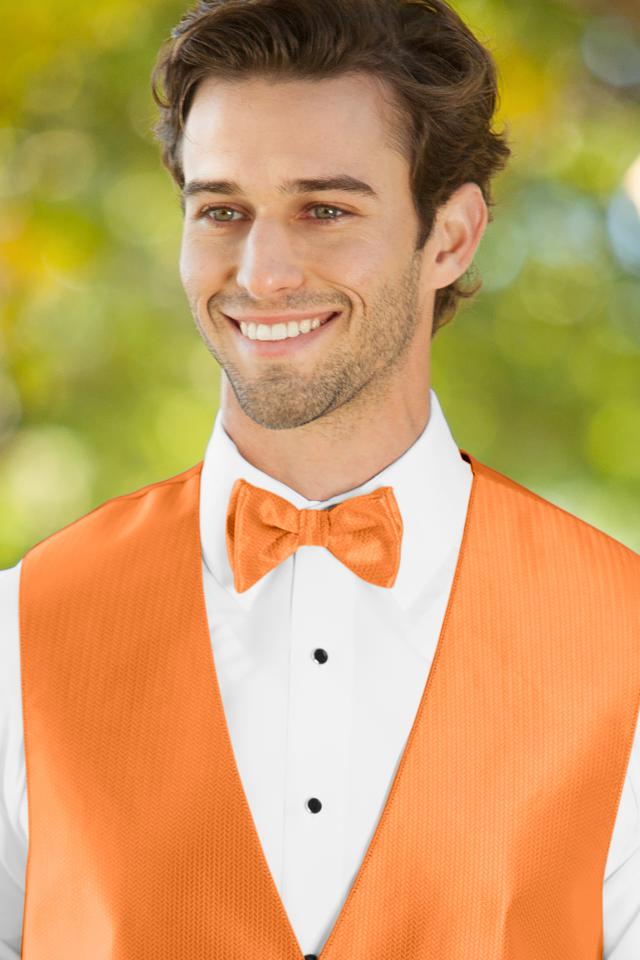 bow-tie-tangerine-BRTN.jpg