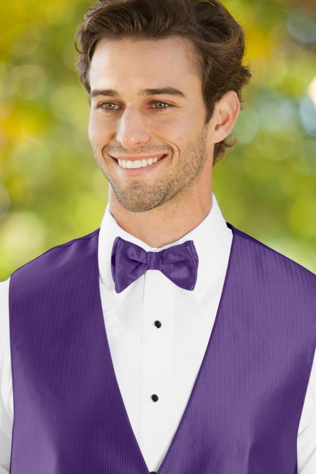 bow-tie-viola-BRVA.jpg