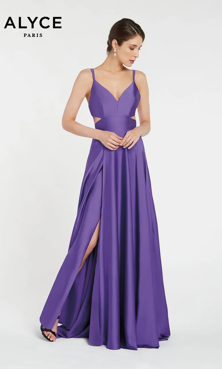 60453_Purple_1__78757.1552578618.jpg