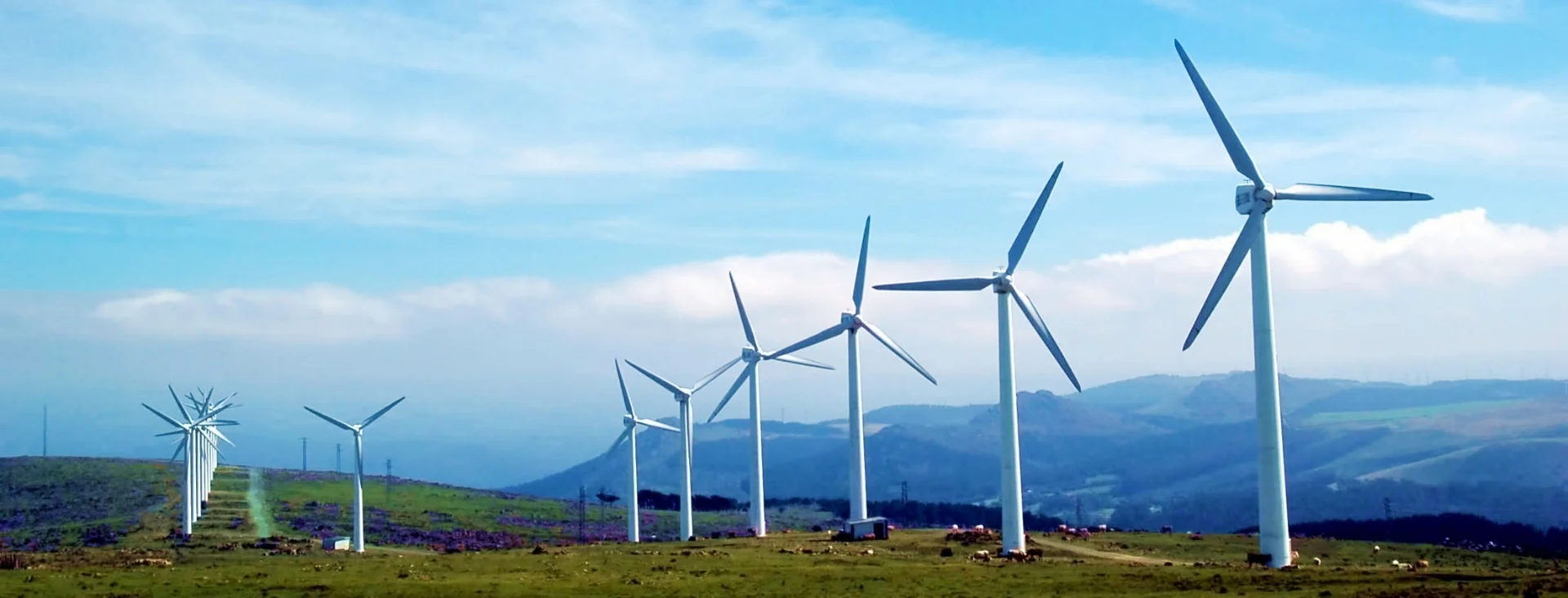 K&A_Renewables.jpg
