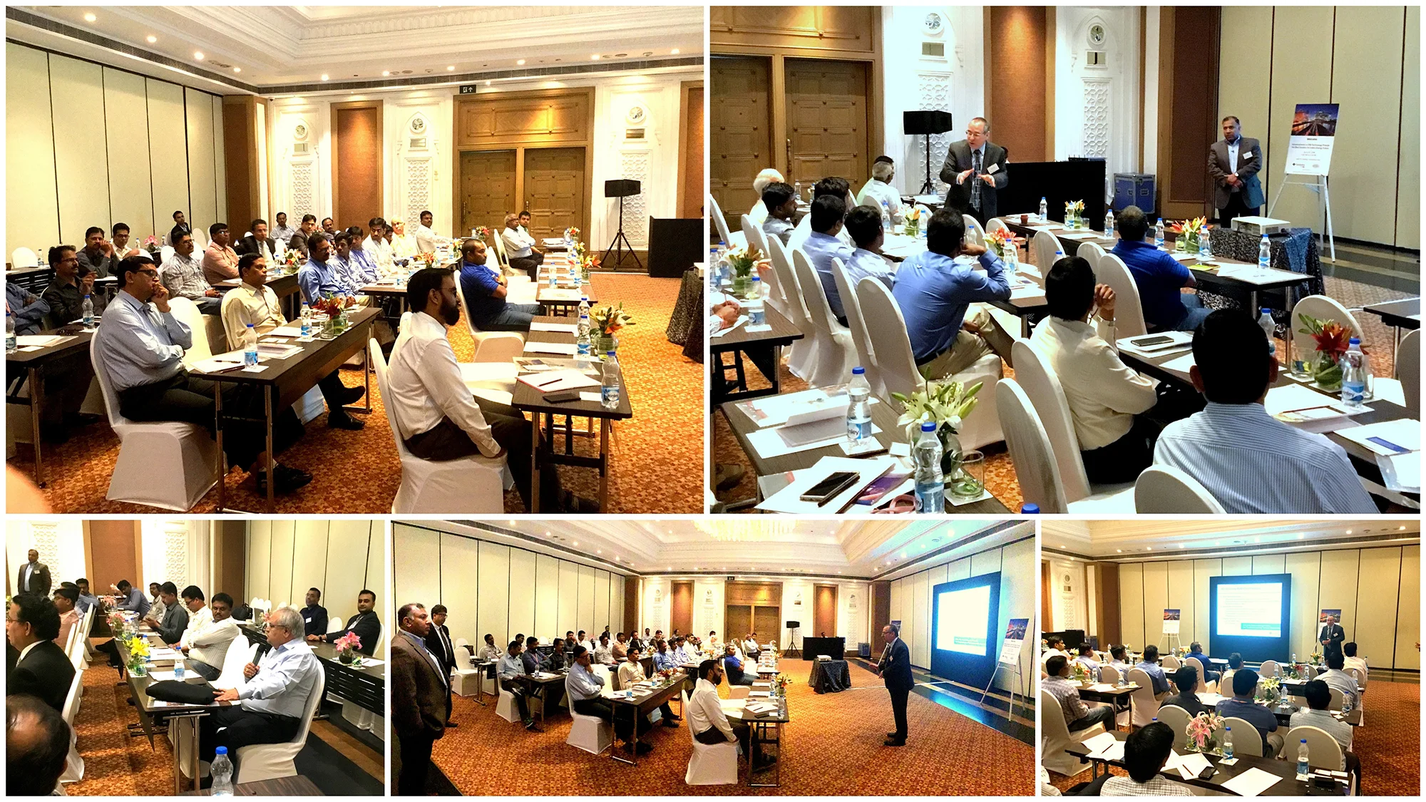 collage-hyd-resized.jpg