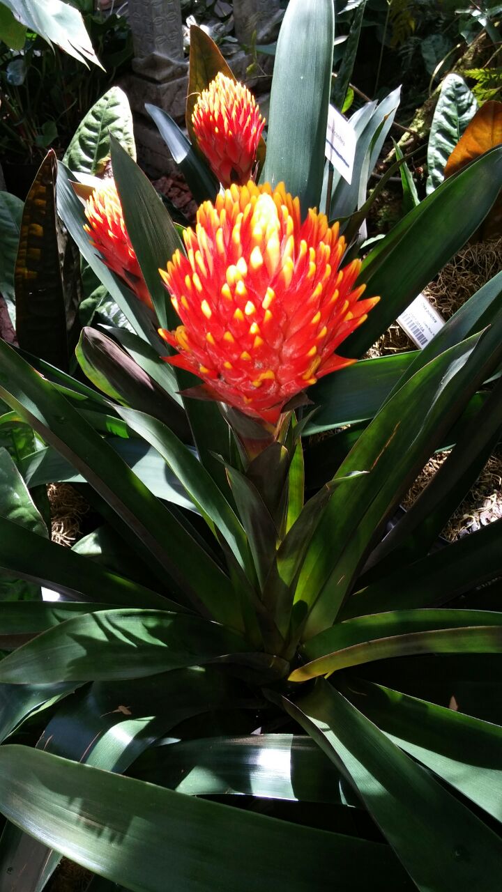 Photo Gallery — Vizcaya of Bradenton